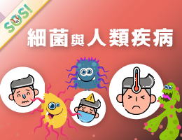 細菌與人類疾病（SOS計畫2026）