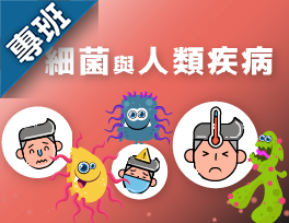 細菌與人類疾病（115-1學分班）