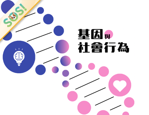 基因與社會行為（115-1學分班）