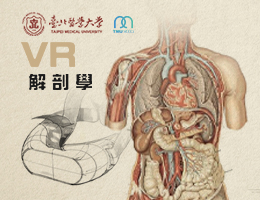 VR解剖學（2025夏季班）