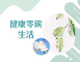 健康零碳生活（115自學課程）