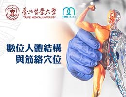 數位人體結構及經絡穴位（115自學課程）