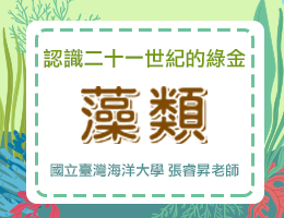 認識二十一世紀的綠金-藻類（2026秋季班）